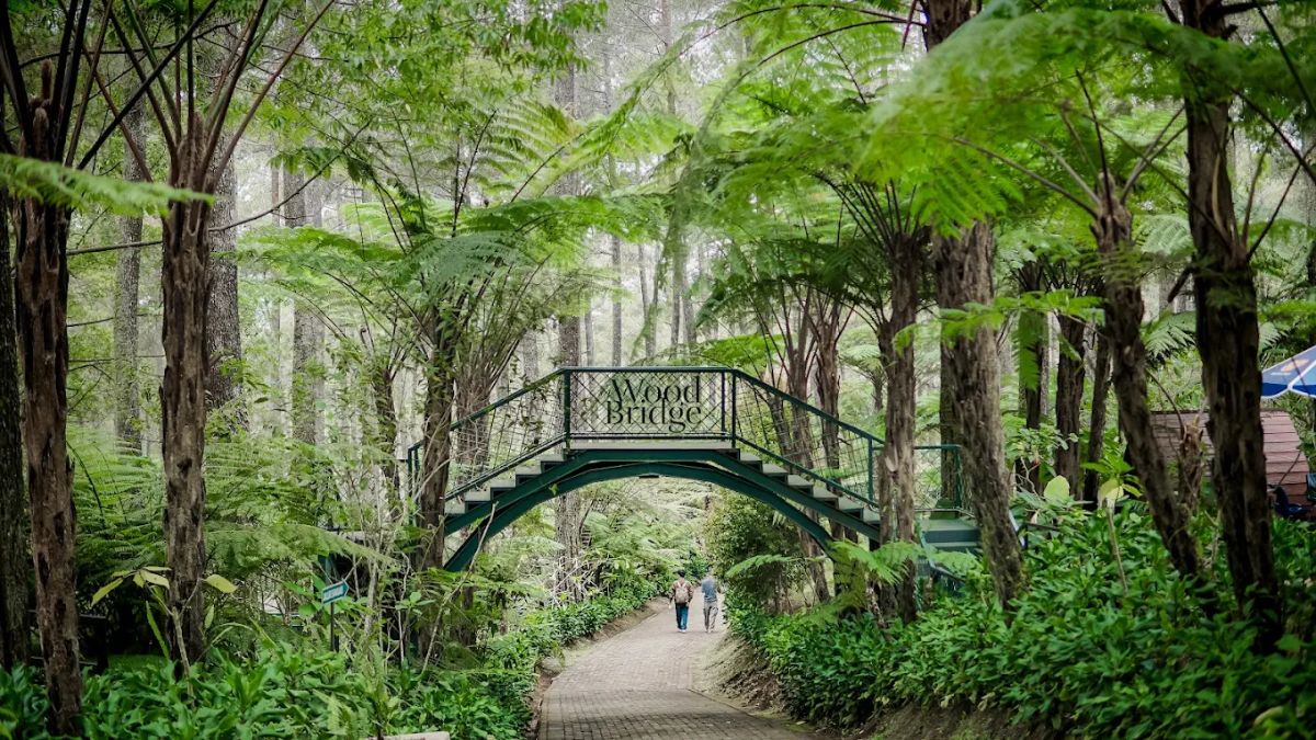 Orchid Forest Lembang
