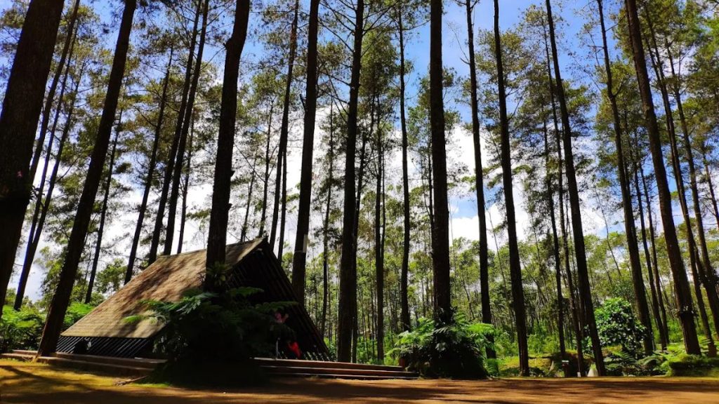 Orchid Forest Cikole tiket masuk