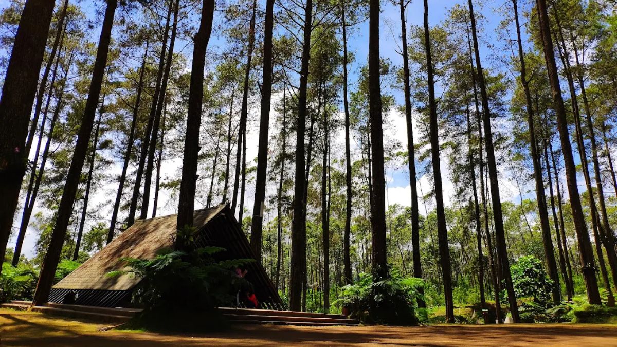Orchid Forest Cikole tiket masuk