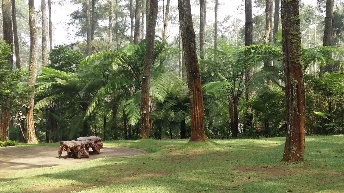 Orchid Forest Lembang