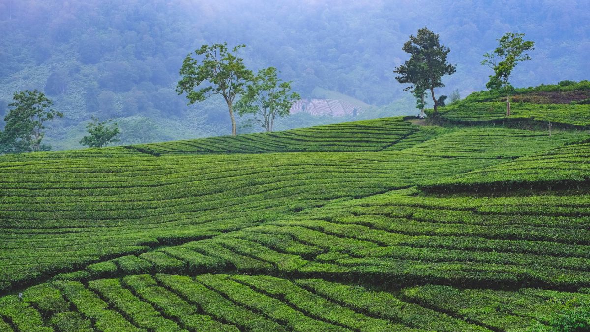 paket wisata bandung 3 hari 2 malam
